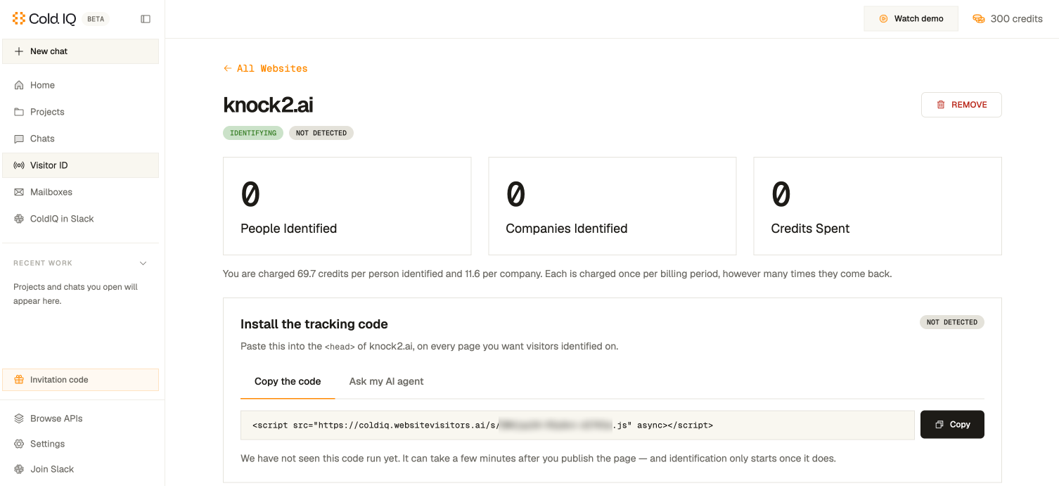 ColdIQ's Visitor ID screen for a website, with people and companies identified, credits spent, and an install snippet served from coldiq.websitevisitors.ai