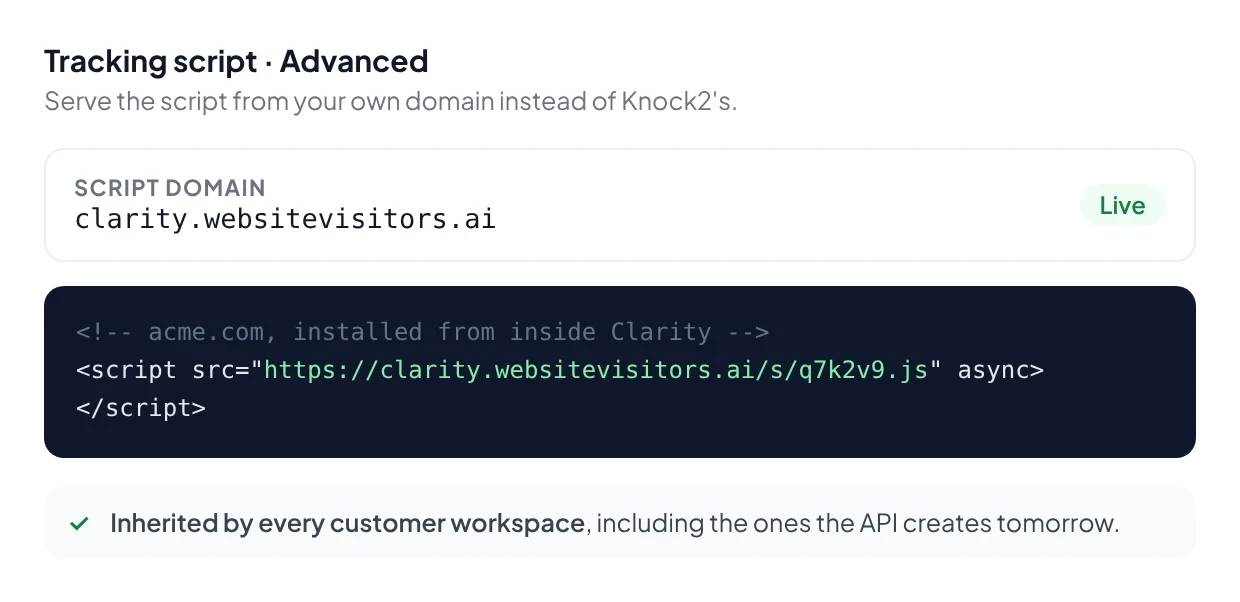 The tracking script served from the platform's own subdomain, clarity.websitevisitors.ai, live and inherited by every customer workspace